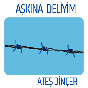 Aşkına Deliyim