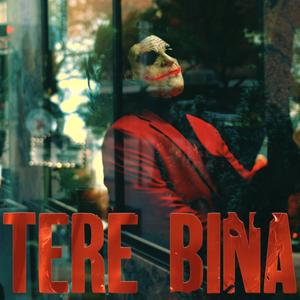 Tere Bina