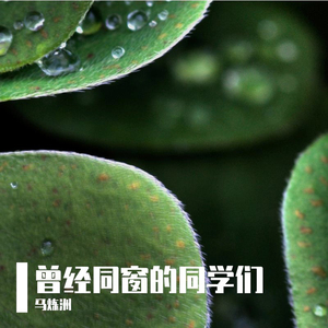 曾经同窗的同学们