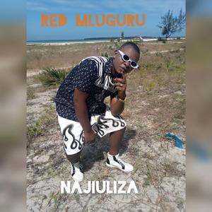 Najiuliza