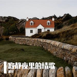寂静夜里的情歌