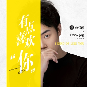 有点喜欢你 (feat.徐梦圆) (PIggy小著 Remix)