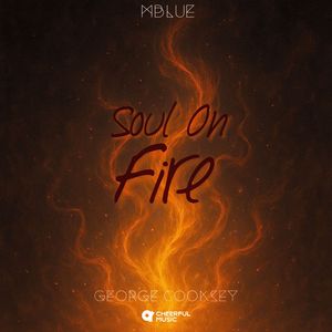 Soul On Fire