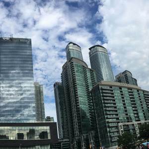 THEY WANNA BE LIKE ME