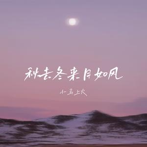 秋去冬来月如风