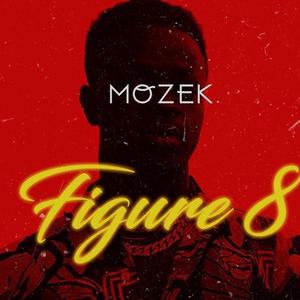 Figure 8