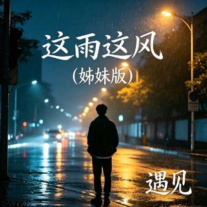 这雨这风（姊妹版）