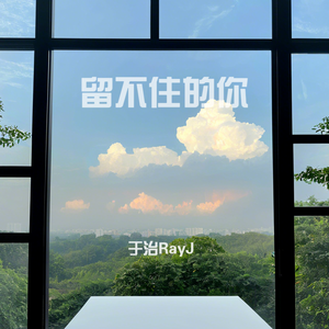 留不住的你