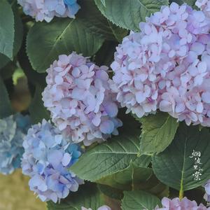 恋の始まる方程式