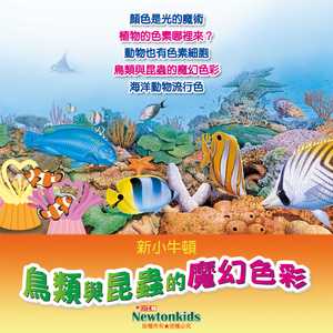 鸟类与昆虫的魔幻色彩