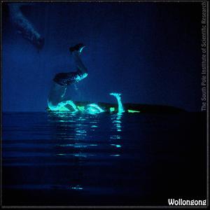 Whale Genetic Research (Site Tour)