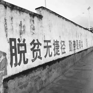 我不是你的宋冬野