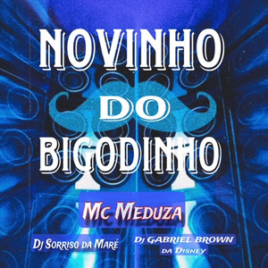 Novinho do Bigodinho