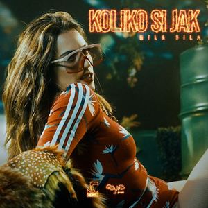 Koliko si jak