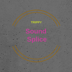Sound Splice