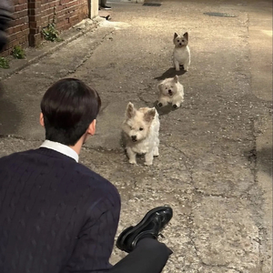 《失语孤岛》