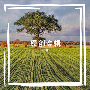 十年成空