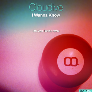 I Wanna Know (Zan Preveé Remix)