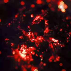 摇滚的原野 demo徐辉