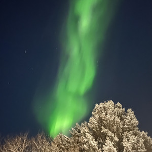 Northen Light