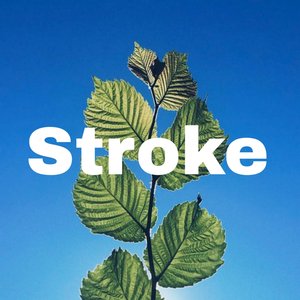 Stroke