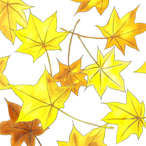 メイプル (feat. darake)