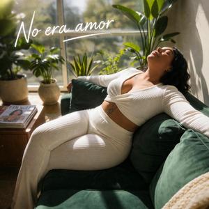 NO ERA AMOR