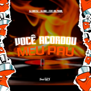 Você Acordou Meu Pau