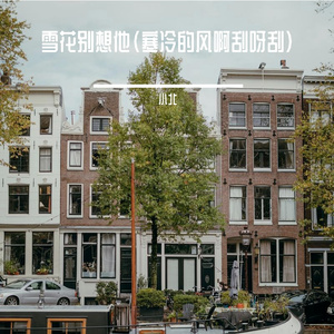 雪花别想他（寒冷的风啊刮呀刮）