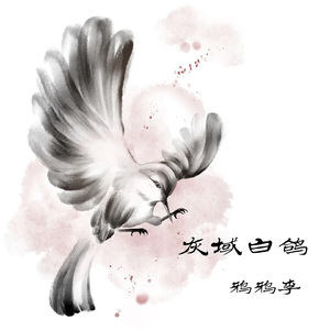 灰域白鸽 (伴奏)