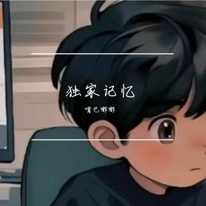 独家记忆