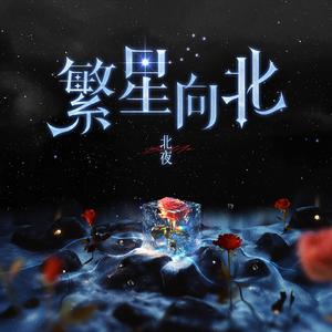 繁星向北
