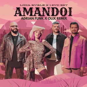 Amândoi (Adrian Funk & OLiX Remix)