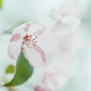 새벽 공기가 좋아서 (Summer Ver.)