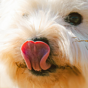 비몽사몽 (feat. 픽보이 (Peakboy), hiko)