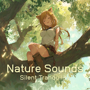 眠りの浅い貴方のための快眠音楽 1分で眠れるヒーリングギター (自律神経を整える睡眠用 森 鳥)