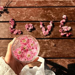 越南卡卡金鼓摇