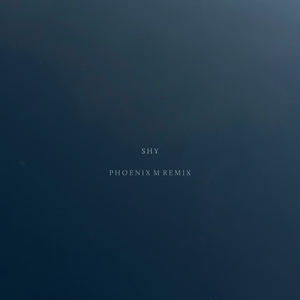 Shy (Phoenix M Remix)