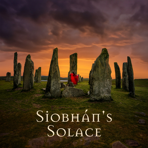 Siobhán's Journey Home