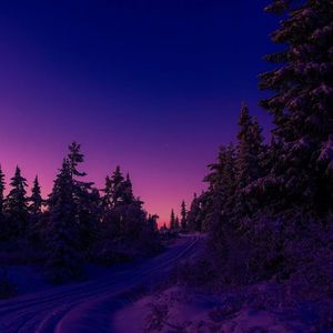 暖凤归巢(采耳时听)