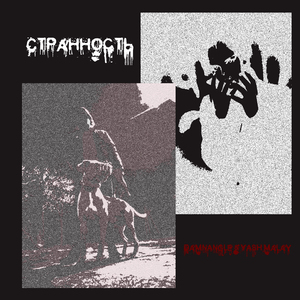 Странность (DamnAngel)