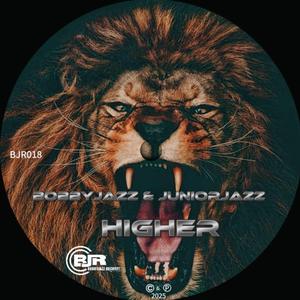 Higher (feat JuniorJazz)