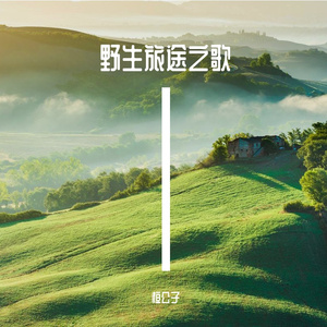 野生旅途之歌（AI Version） 伴奏