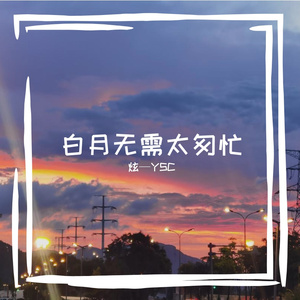 白月无需太匆忙