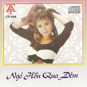 Ngõ Hồn Qua Đêm