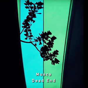 Dead End (Acoustic Version)
