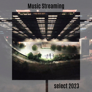 Alessia Di Paolo (Pitch+4)