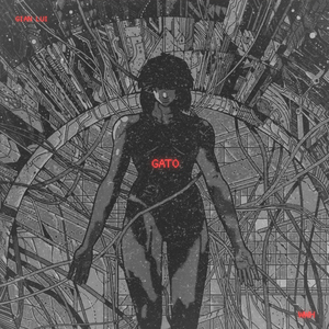 Gato