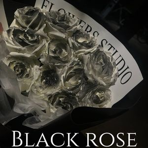 细雨黑玫 (prod.by Jeston)