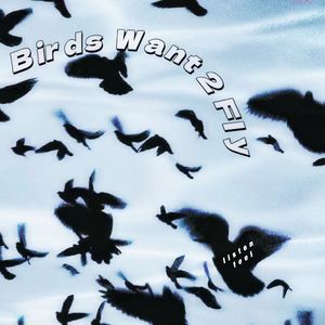 birdswant2fly
